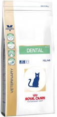 DENTAL DSO29 для гигиены полости рта, чистки зубов фото