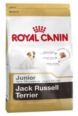 JACK RUSSEL TERRIER JUNIOR  для щенков джек-рассел-терьер до 10 мес.  фото